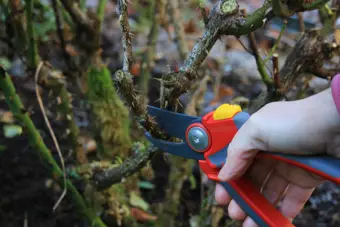 The Irish Garden: How To Series