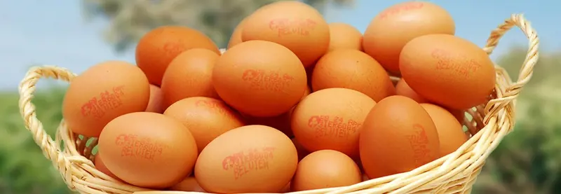 Belview eggs basket