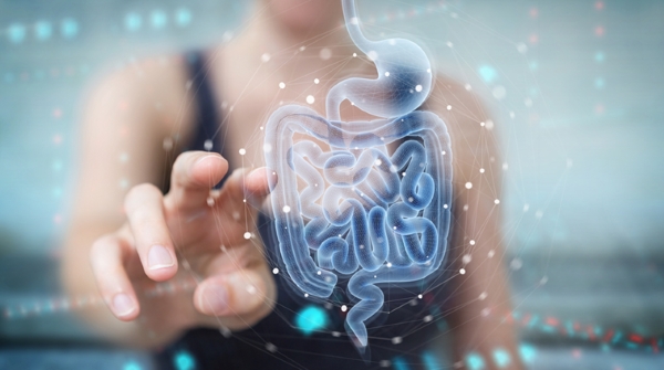 person interacting with virtual gut health depiction