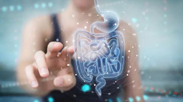 person interacting with virtual gut health depiction