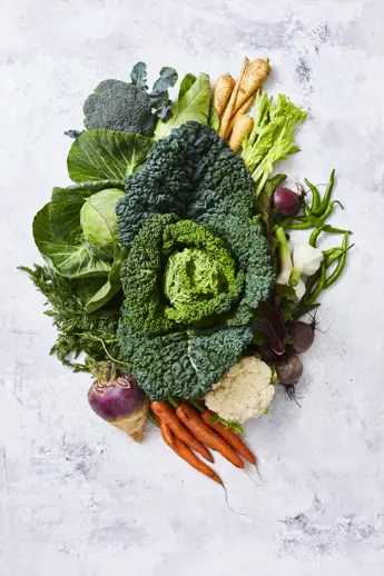 Nutrition