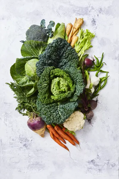 Nutrition