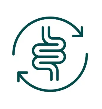 Fermented Fashion