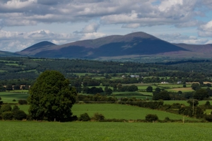 Irish Rural Landscape