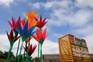 Bord Bia Bloom