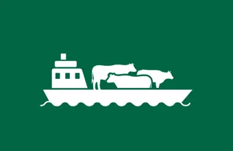 Live Cattle Exports