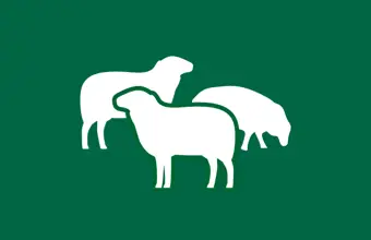 Sheep Throughput