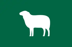 Sheepmeat Price Dashboard