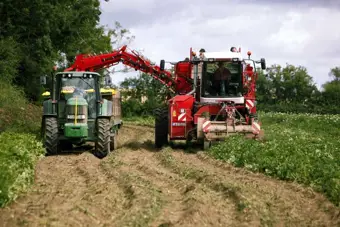 Horticulture News