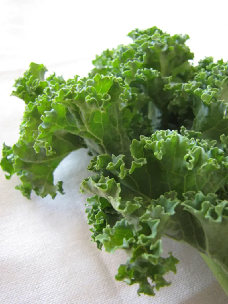Kale