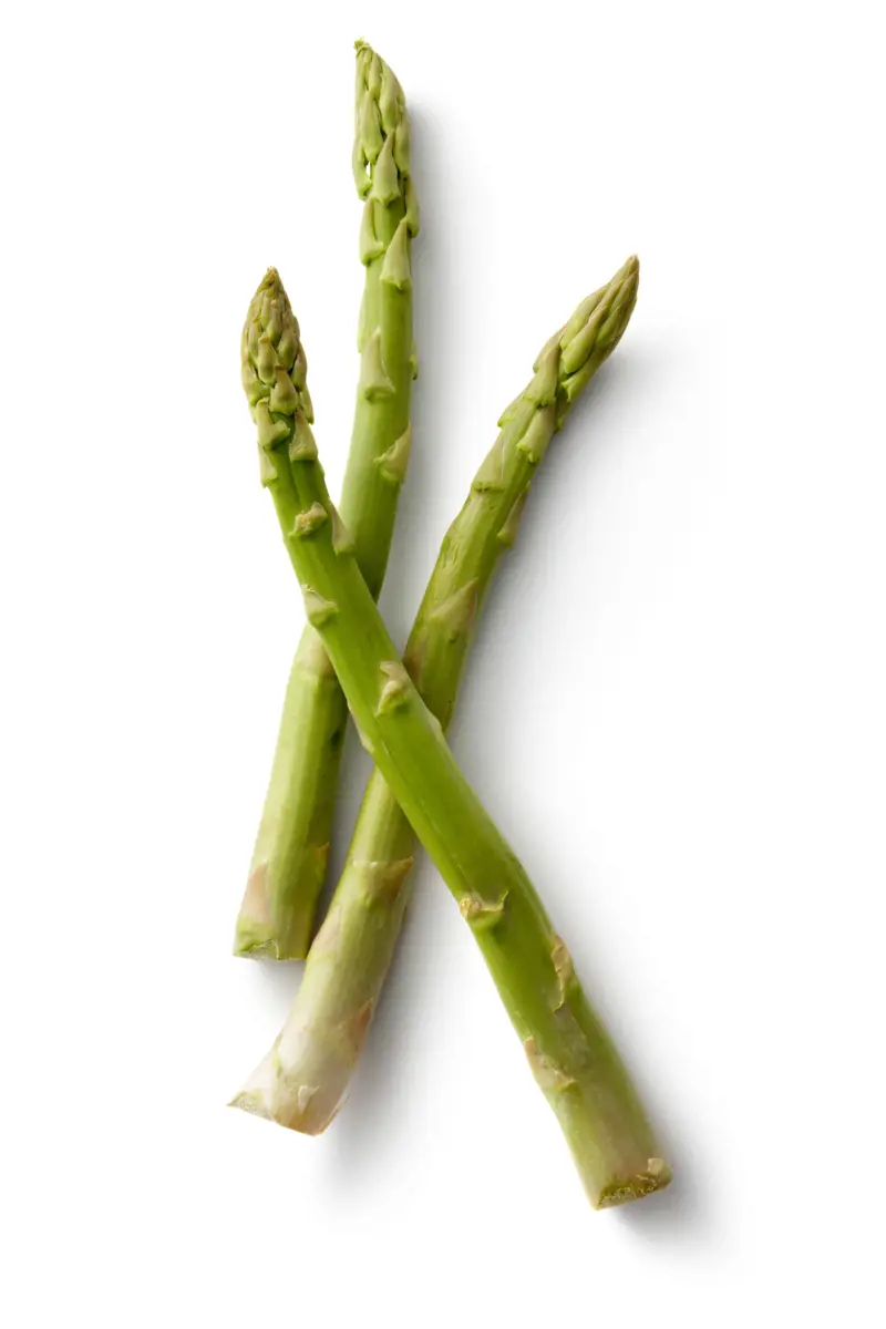 Asparagus