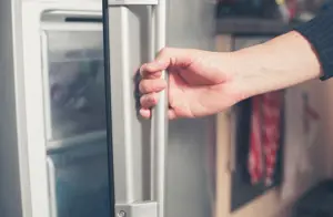 Storing Meat