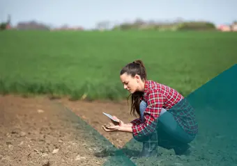 Insight & Innovation