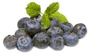 Blueberry