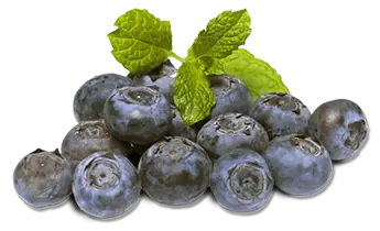 Blueberry