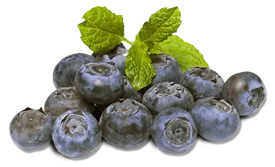 Blueberry