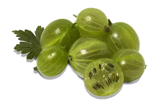 Gooseberries