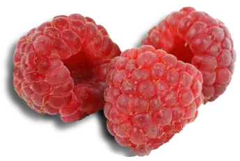 Raspberry