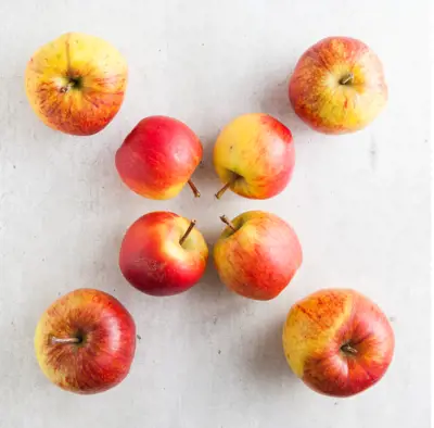 Why Choose Seasonal?
