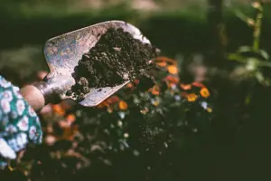 Gardening by Month