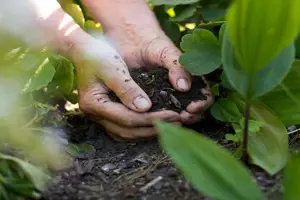 Introduction to Composting