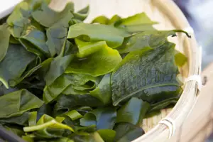 Seaweed in Ireland