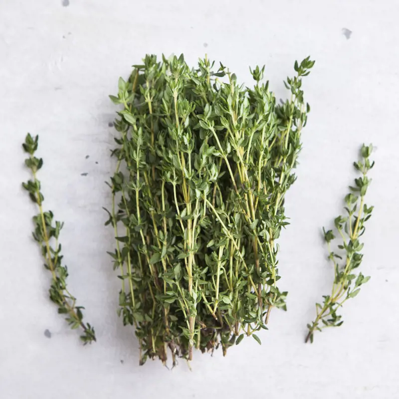 Thyme