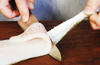 fillet of fish