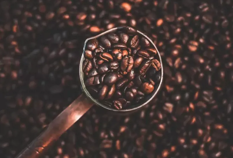 Measuring spoon holding coffee beans