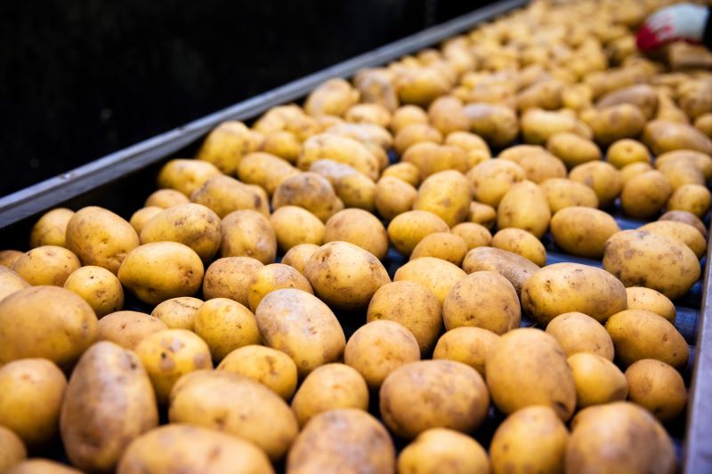 Potatoes